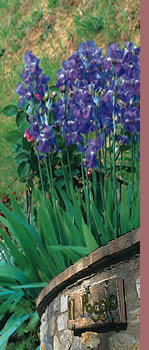 Agriturismo ad Orvieto - casa vacanze Il Poggio